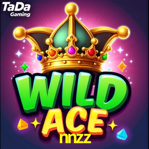 nnzz login