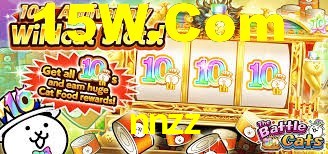nnzz.com